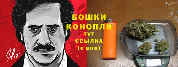 ALPHA-PVP Каменка
