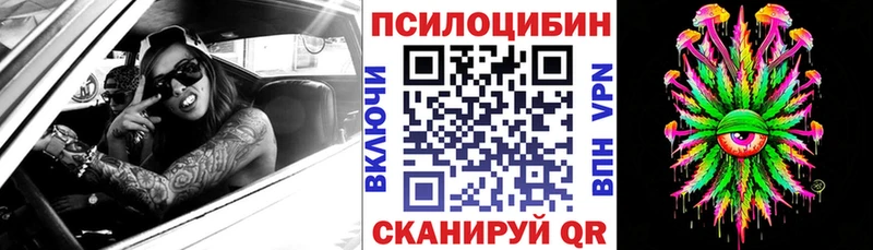 Псилоцибиновые грибы Psilocybe  Купить где  Гусиноозёрск 